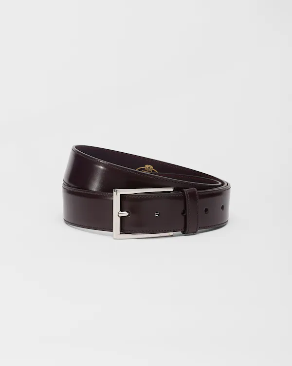 Elongated Buckle Belt Polished Binder